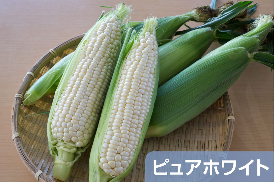 ピュアホワイト